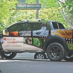 steven_ditunno_signature_signs_ford_sign_service_drivers_side.jpg